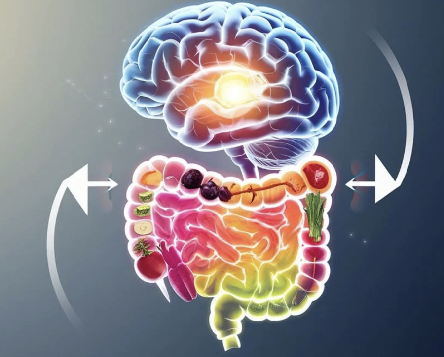 La conexión entre el cerebro y el intestino