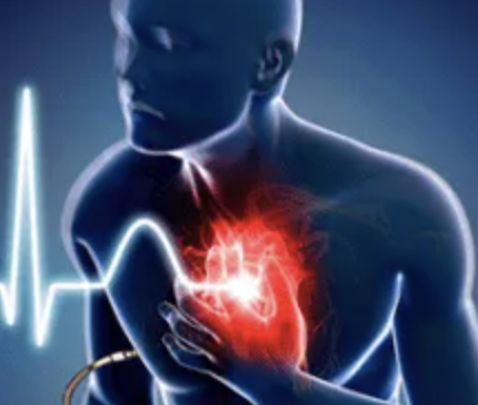 Palpitaciones o aceleración del ritmo cardíaco,